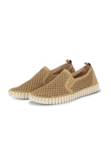 ZLD110J Latte Shoe